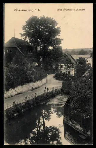 AK Hinterhermsdorf /Sa., Altes Forsthaus und Mühlteich