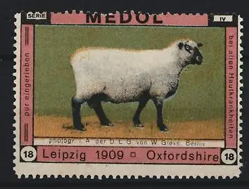 Reklamemarke Leipzig 1909, Medol, Schaf aus Oxfordshire