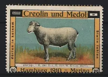 Reklamemarke Hamburg 1910, Creolin und Medol, Merino-Schaf