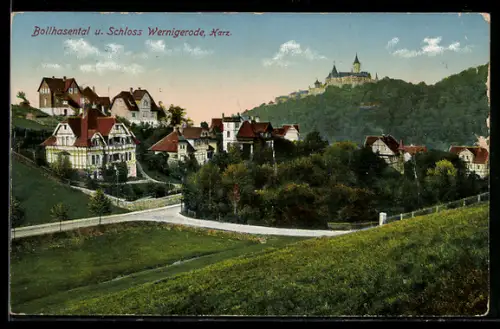 AK Wernigerode /Harz, Bollhasental, Schloss Wernigerode