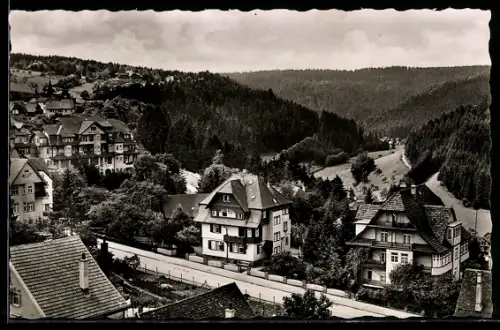 AK Freudenstadt, Blick ins Christophstal