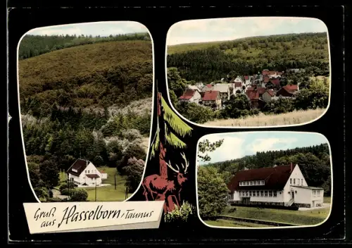 AK Hasselborn /Taunus, Ortsansicht, Gasthaus, Waldlandschaft