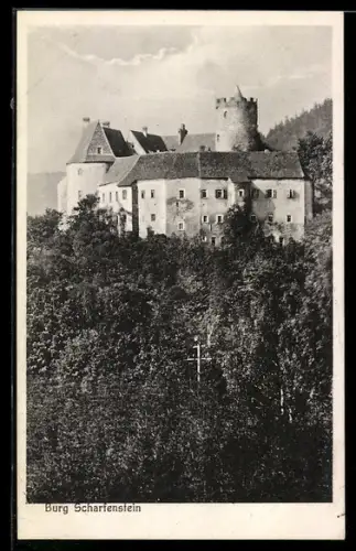 AK Scharfenstein /Erzgeb., Burg Scharfenstein mit angrenzendem Wald