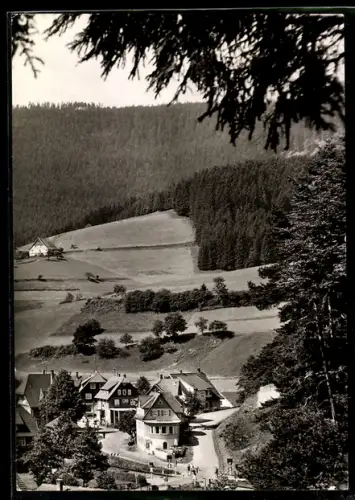 AK Röt im Murgtal, Teilansicht mit angrenzendem Wald
