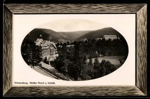 AK Schwarzburg, Hotel Weisser Hirsch und Schloss
