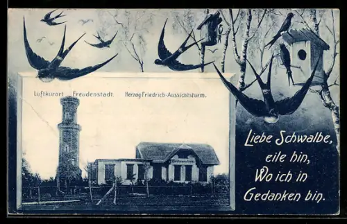 Grusskarten-AK Freudenstadt, Herzog Friedrich-Aussichtsturm, Fliegende Schwalben, Passepartout