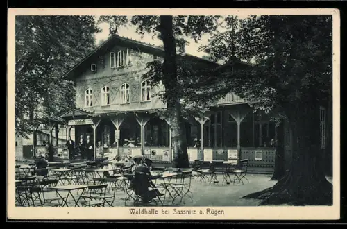 AK Sassnitz a. Rügen, Gasthof Waldhalle