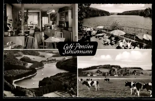 AK Oberwipper, Lingesetalsperre, Inneres Cafe-Pension Schürmann, Terrasse, Kühe auf der Weide