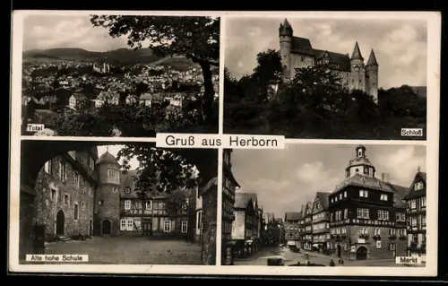 AK Herborn, Totalansicht, Schloss, Alte hohe Schule, Markt