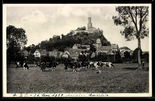 AK Felsberg /Kassel, Burgruine, Stadtansicht, Viehweide