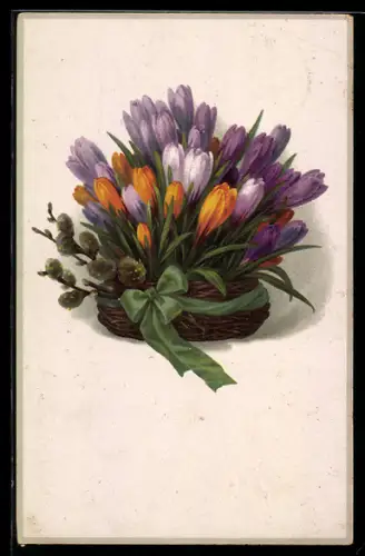 Künstler-AK Meissner & Buch (M&B) Nr. 2342: Gelbe und violette Krokusse mit Weidenkätzchen