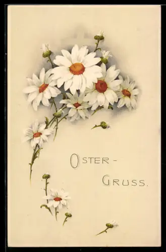 Künstler-AK Meissner & Buch (M&B) Nr. 1465: Margeriten im Bund, Ostergruss
