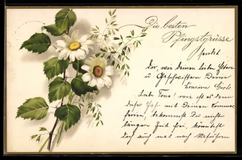 Künstler-AK Meissner & Buch (M&B) Nr. 2214: Blumen mit Birkenzweigen, Pfingstgruss