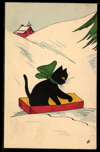 AK Katze in einer Box im Schnee, vermenschlichte Tiere