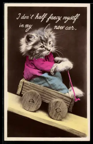 AK Katze in einem Wagen, vermenschlichte Tiere