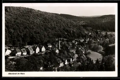 AK Altenbrak im Harz, Teilansicht mit Strassenpartie