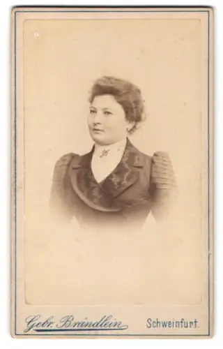 Fotografie Gebr. Brändlein, Schweinfurt, Porträt einer Dame