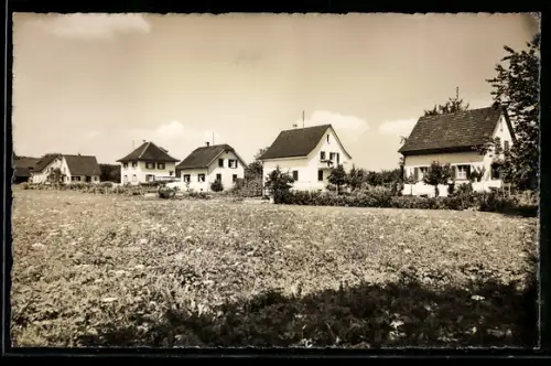 AK Birr /Aargau, Reihen von Wohnhäusern am Feld