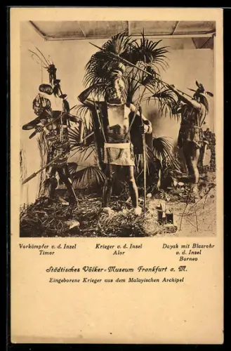 AK Frankfurt a. M., Städtisches Völker-Museum, Vorkämpfer der Inseln Timor, Alor und Borneo