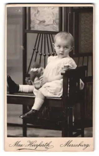 Fotografie Max Herrfurth, Merseburg, Breitestrasse 8, Kind auf Stuhl mit Kuscheltier