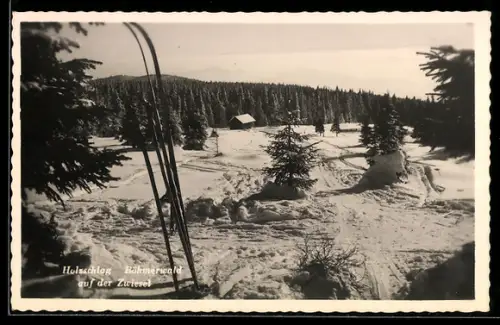 AK Schwarzenberg am Böhmerwald, Holzschlag, Auf der Zwiesel im Schnee