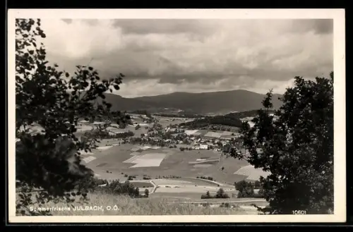 AK Julbach /O. Ö., Panorama