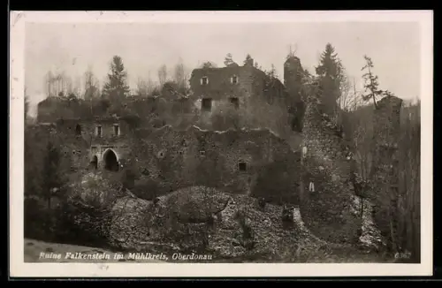 AK Falkenstein im Mühlkreis, Ruine Falkenstein