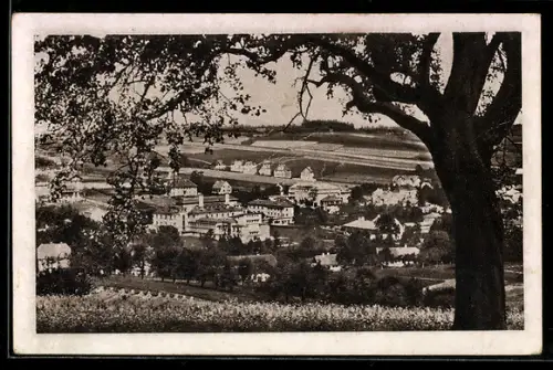 AK Gallspach /O.-Öst., Teilansicht mit Institut Dr. Zeileis