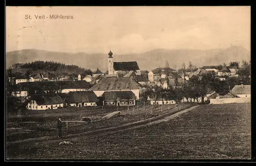 AK St. Veit /Mühlkreis, Gesamtansicht mit Wiesen und Bergpanorama