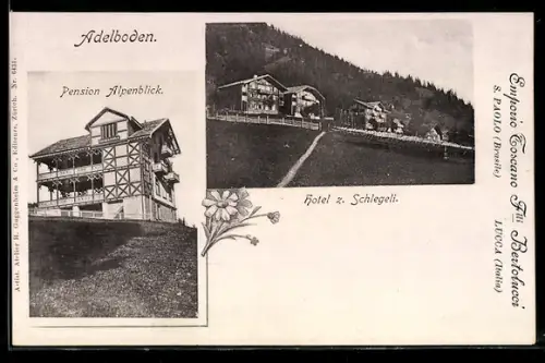 AK Adelboden, Hotel zum Schlegeli, Pension Alpenblick