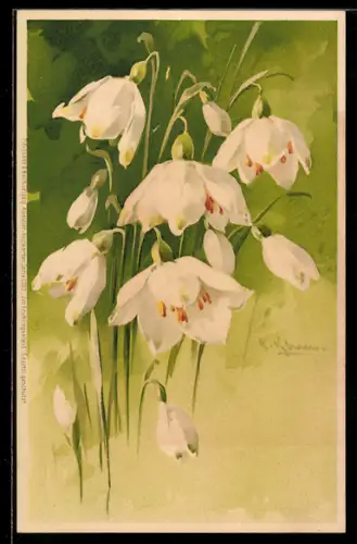 Künstler-AK Catharina Klein: Weisse Blumen