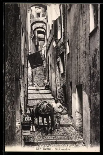 AK San Remo, Citta vecchia mit Pferd