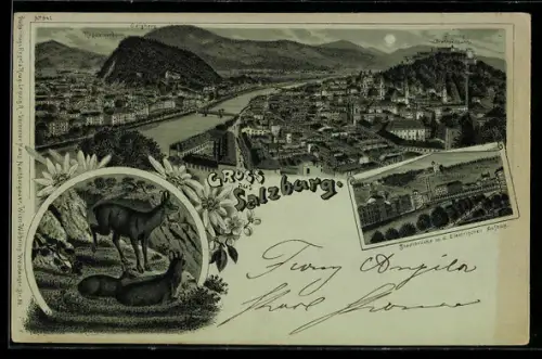 Mondschein-Lithographie Salzburg, Panorama der Stadt, Stadtbrücke m. eletr. Aufzug, Gemsen
