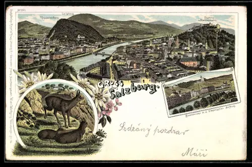 Lithographie Salzburg, Panorama mit Festung Hohensalzburg und Salzach, Elektr. Aufzug mit Brücke