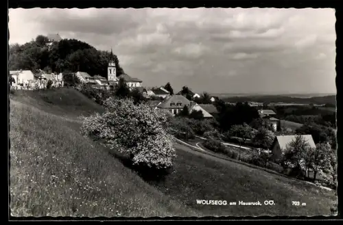 AK Wolfsegg am Hausruck, Panorama mit Kirche und Ortschaft