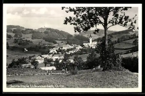 AK Unterweissenbach /O.Oe., Ansicht vom Ort mit Kirche vom Berghang aus