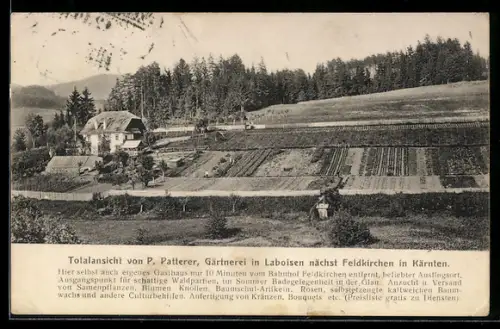 AK Feldkirchen in Kärnten, Laboisen, Totalansicht der Gärtnerei von P. Patterer