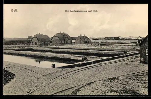 AK List auf Sylt, Die Austernbassins