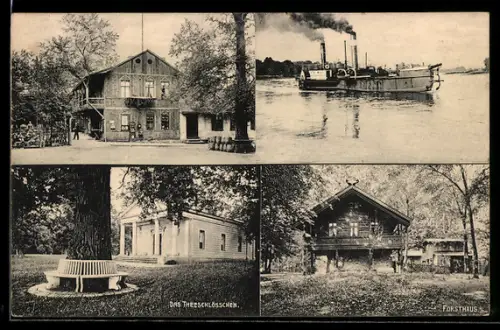AK Dessau, Gasthof Steglitzer Berg, Forsthaus, Teeschlösschen, Raddampfer auf der Elbe