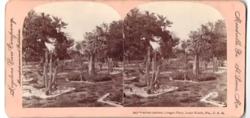 Stereo-Fotografie Keystone View Company, St. Louis, Ansicht Lake Worth, FL, Cactus Garden, Cragin Place