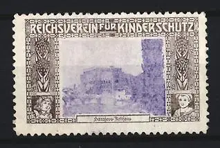 Reklamemarke Sarajevo, Reichsverein für Kinderschutz, Rathaus