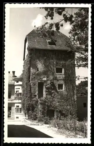 AK Haslach, Torturm mit Efeu, angrenzendes Wohnhaus