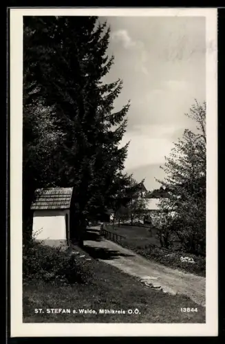 AK St. Stefan a. Walde, Weg mit kleiner Kapelle und Bäumen