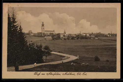 AK Altenfelden /Ob. Öst., Ortspanorama mit Landstrasse