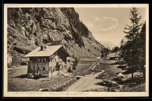 AK Mayrhofen /Tirol, Lacknerbrunn i. Stillup, Talansicht mit Bauernhaus und Weg