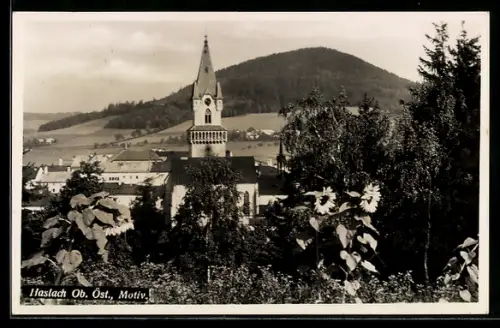 AK Haslach /Ob. Öst., Ortspartie mit Kirche