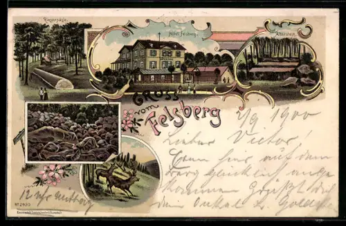 Lithographie Lautertal, Hotel Felsberg, Altarstein, Riesensäule