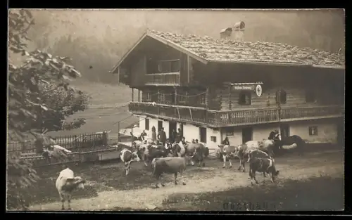AK Landl /Tirol, Gasthaus Ursprung Huber mit Kühen und Personen