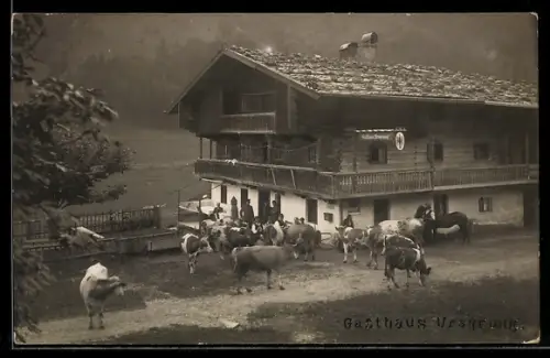 AK Landl /Tirol, Gasthof Ursprung, Hof mit Kühen