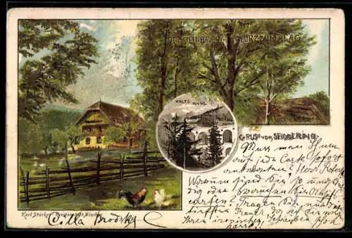 Lithographie Mürzzuschlag, der Steinbauer, Kalte Rinne